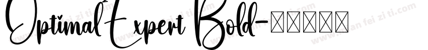 OptimalExpert Bold字体转换
